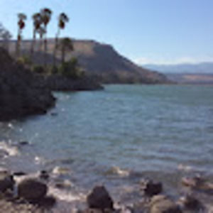 Meet your Posher, Elisheva